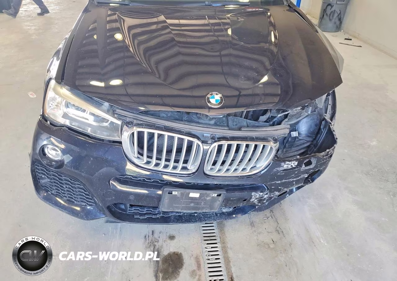 2017 BMW X3 xDrive28I VIN:5UXWX9C57H0T04602 - 12