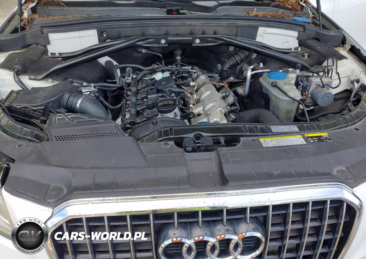2013 Audi Q5 Premium Plus VIN:WA1LFAFP1DA084278 - 11