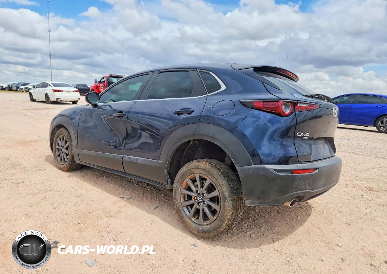 2023 Mazda Cx-30 VIN:3MVDMBAM7PM541720 - 2
