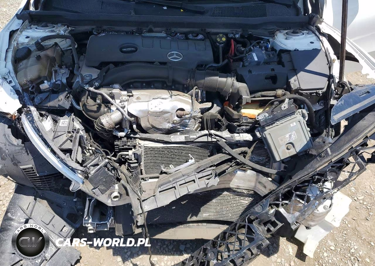 2019 Mercedes-Benz A 220 VIN:WDD3G4EB4KW027461 - 11