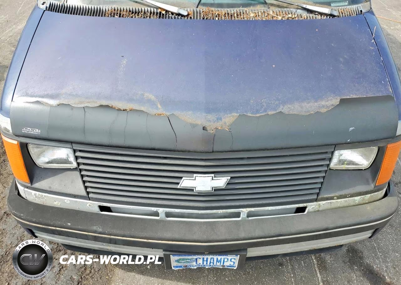 1990 Chev Astro VIN:1GNDM15ZXLB148627 - 12