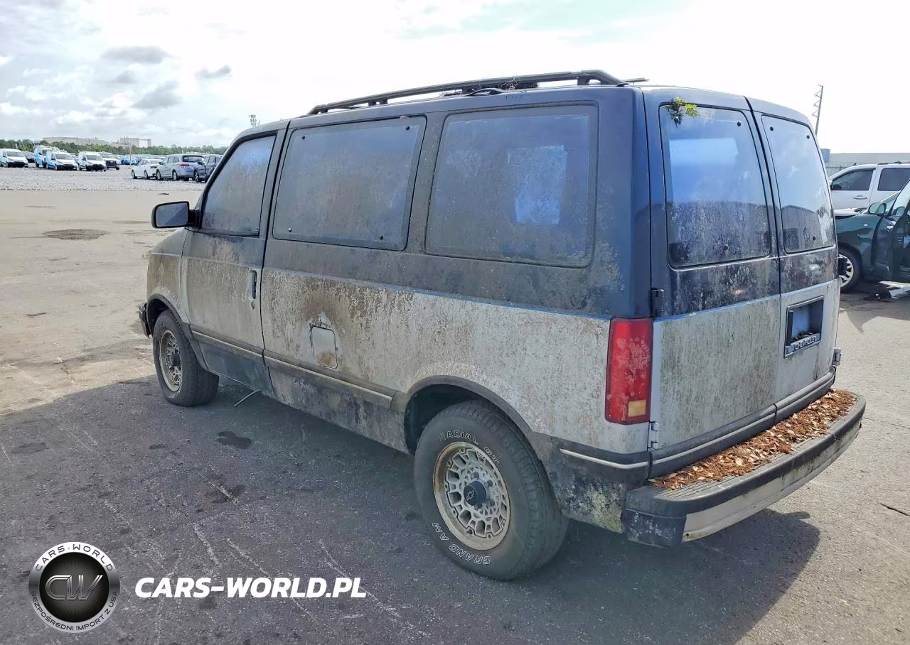 1990 Chev Astro VIN:1GNDM15ZXLB148627 - 2