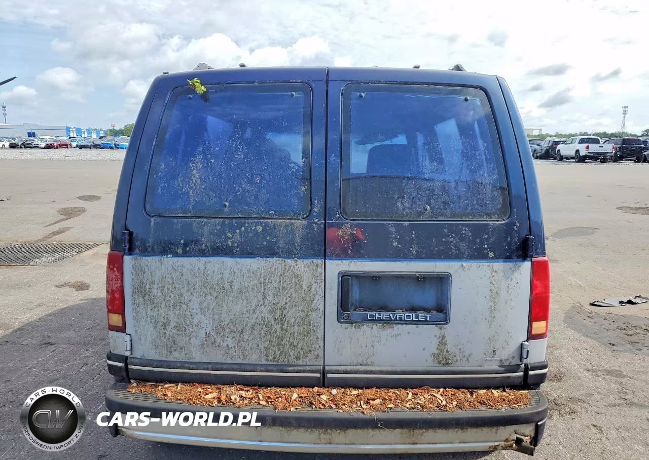 1990 Chev Astro VIN:1GNDM15ZXLB148627 - 6