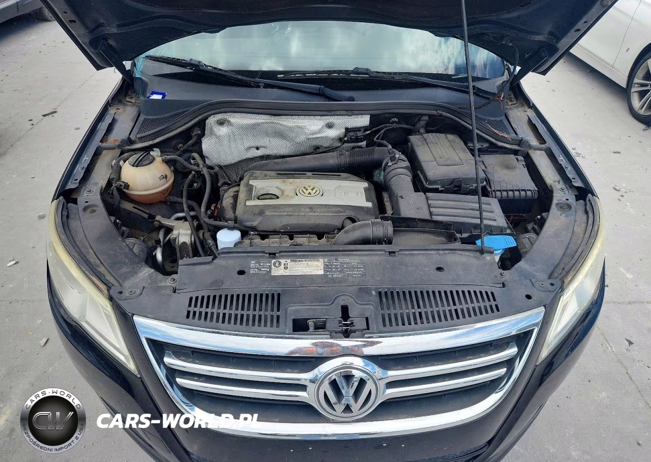 2010 Volkswagen Tiguan S VIN:WVGAV7AX9AW523456 - 11