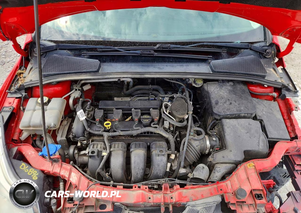 2014 Ford Focus Se VIN:1FADP3F21EL304991 - 11