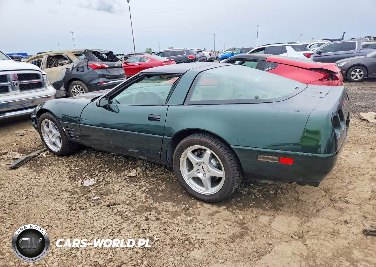 1992 Chevrolet Corvette VIN:1G1YY23P9N5117871 - 2