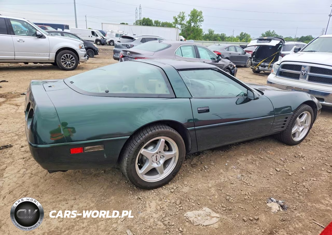 1992 Chevrolet Corvette VIN:1G1YY23P9N5117871 - 3