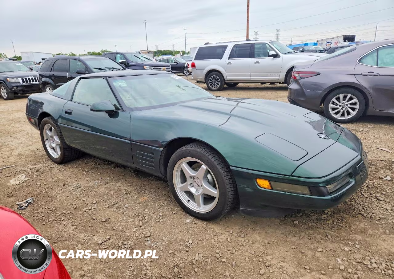 1992 Chevrolet Corvette VIN:1G1YY23P9N5117871 - 4