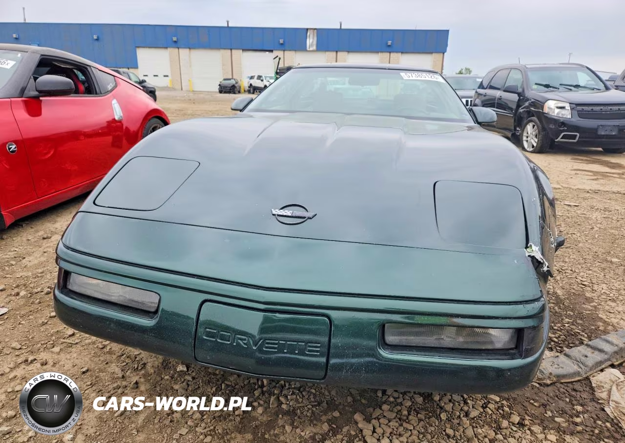 1992 Chevrolet Corvette VIN:1G1YY23P9N5117871 - 5