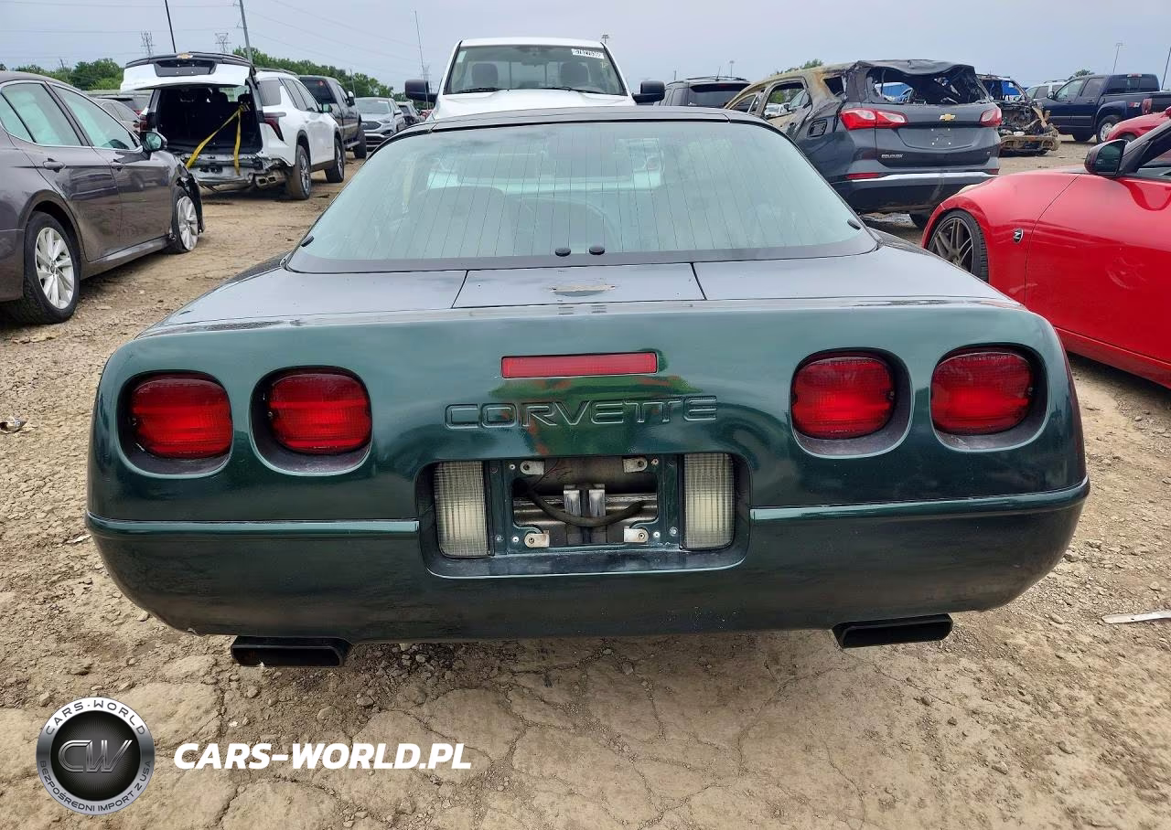 1992 Chevrolet Corvette VIN:1G1YY23P9N5117871 - 6