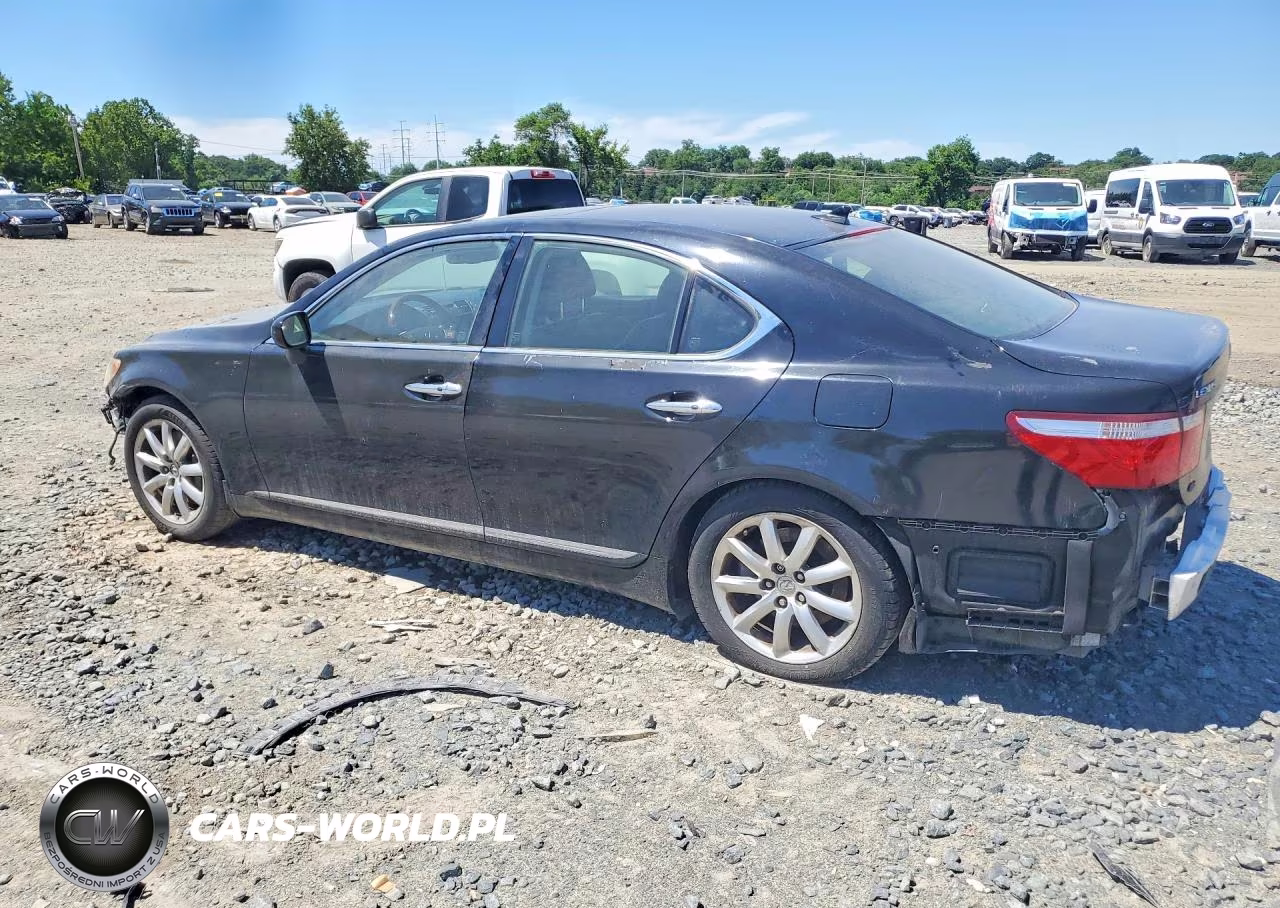 2009 Lexus Ls 460 VIN:JTHCL46F095003602 - 2