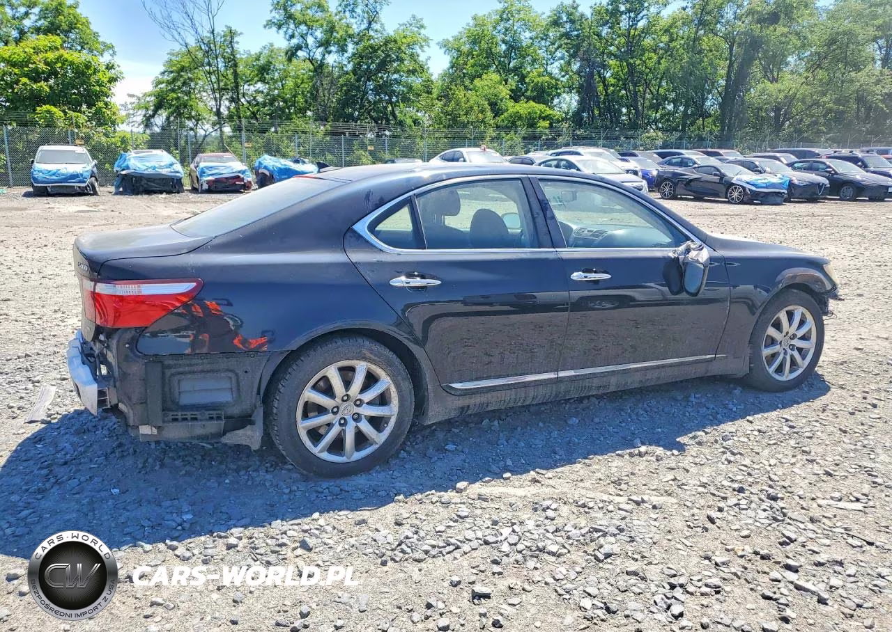 2009 Lexus Ls 460 VIN:JTHCL46F095003602 - 3