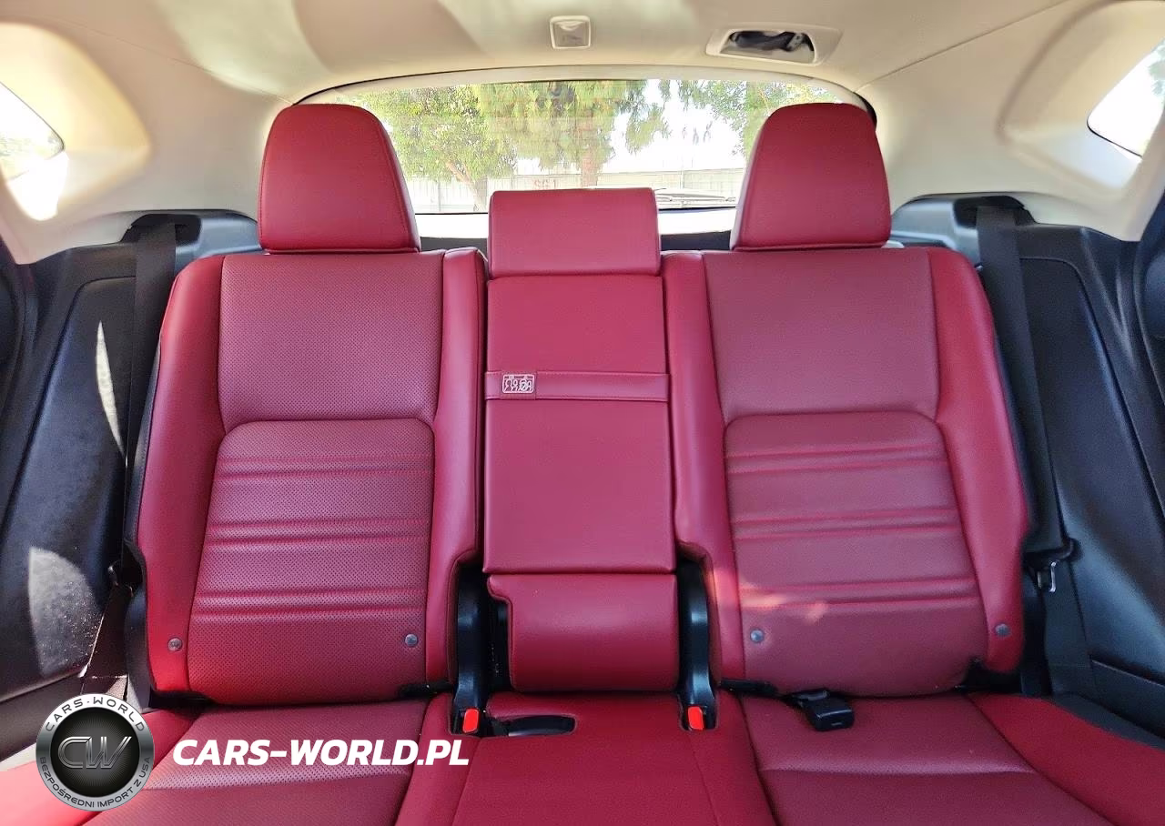 2020 Lexus Nx 300H VIN:JTJGJRDZ0L2142430 - 10