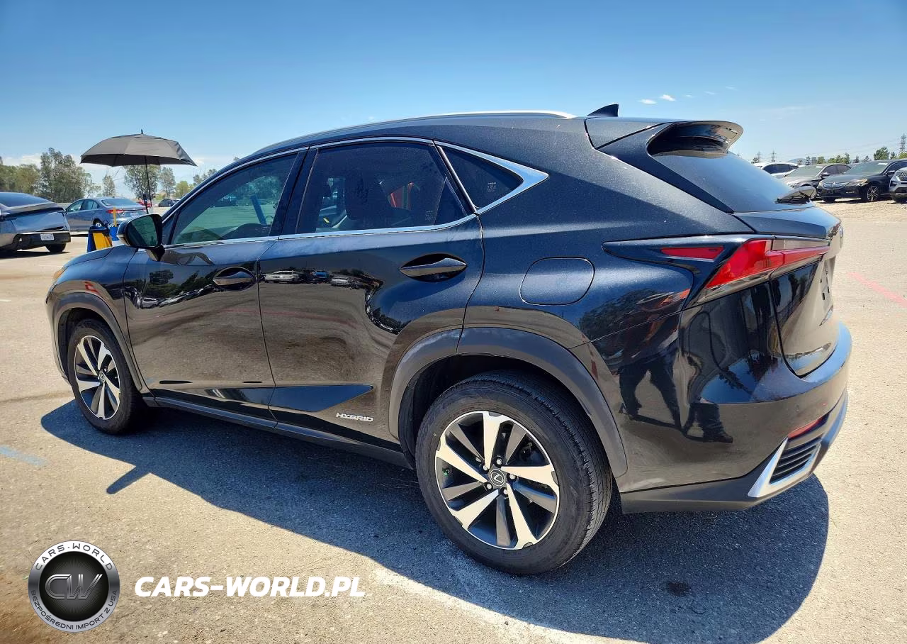 2020 Lexus Nx 300H VIN:JTJGJRDZ0L2142430 - 2