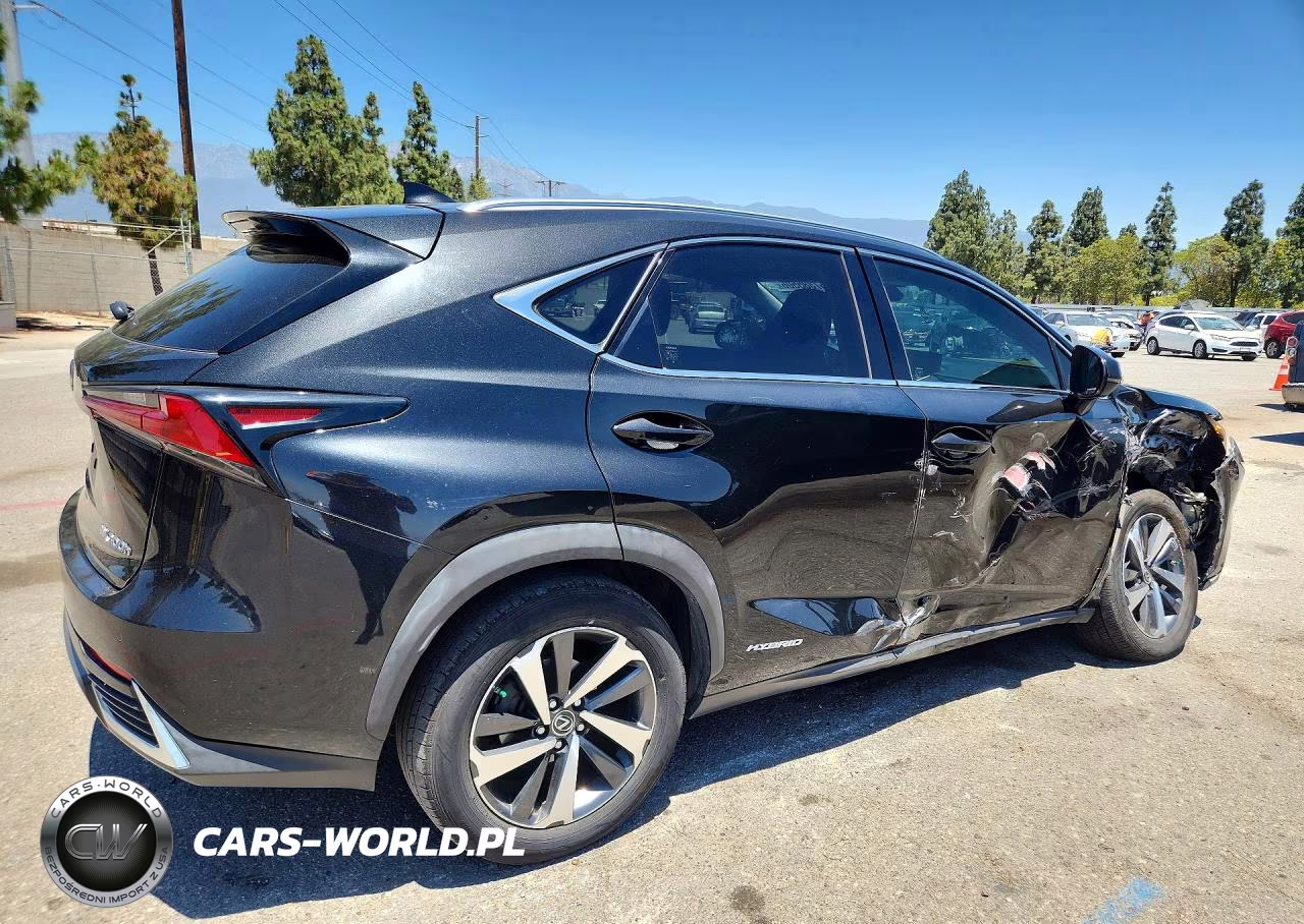 2020 Lexus Nx 300H VIN:JTJGJRDZ0L2142430 - 3