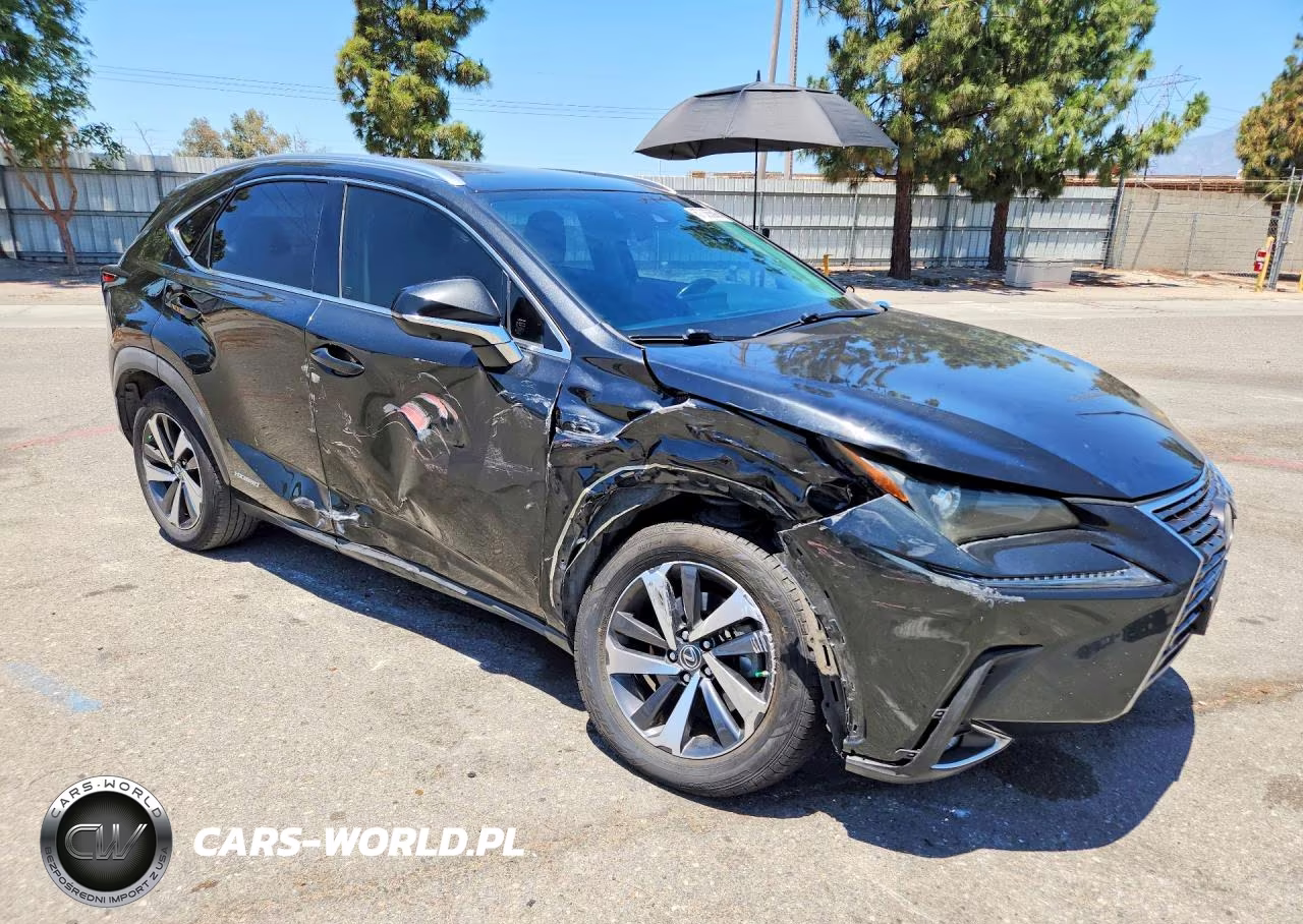 2020 Lexus Nx 300H VIN:JTJGJRDZ0L2142430 - 4