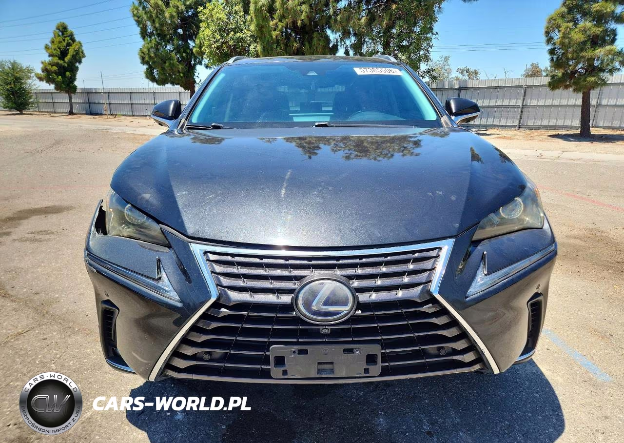 2020 Lexus Nx 300H VIN:JTJGJRDZ0L2142430 - 5