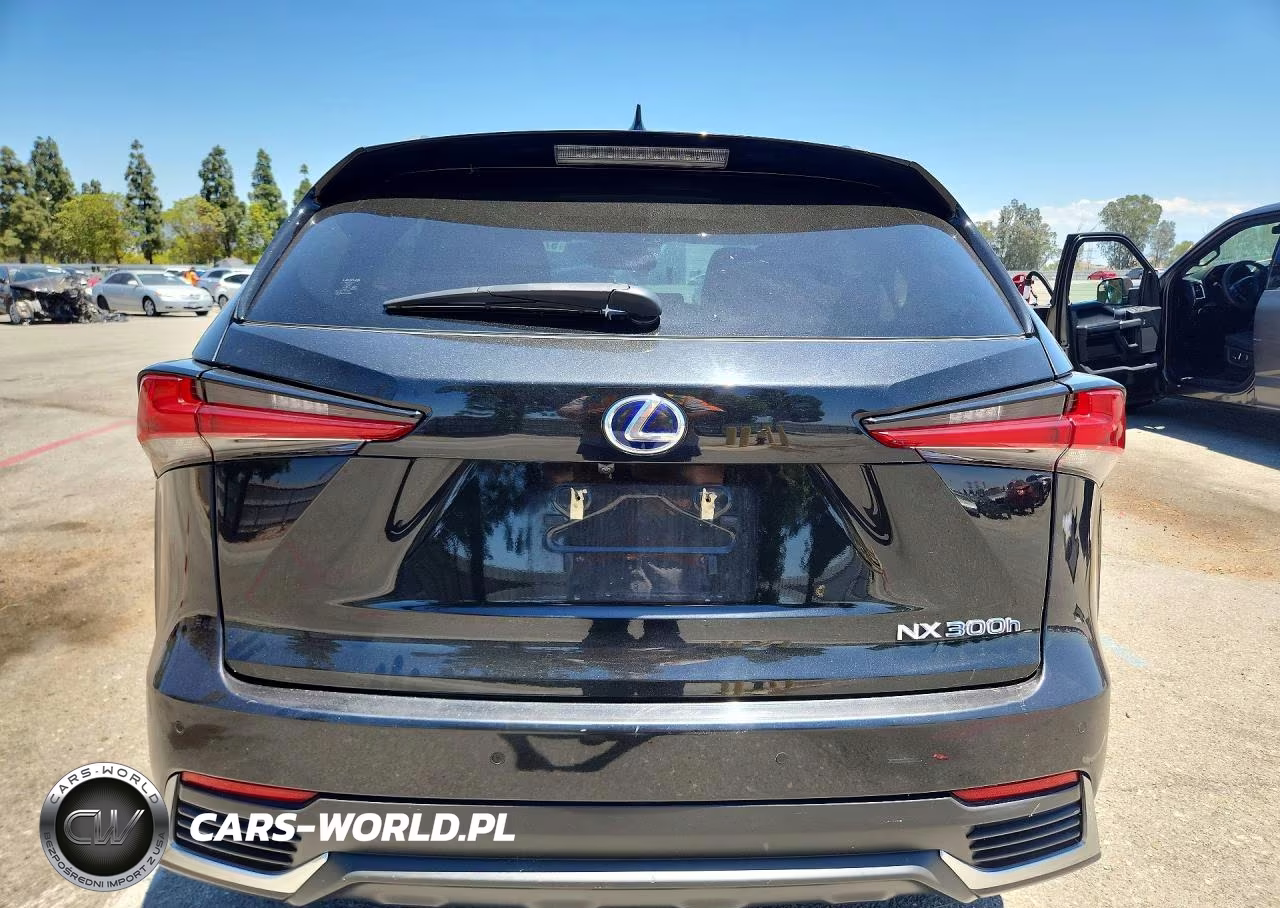2020 Lexus Nx 300H VIN:JTJGJRDZ0L2142430 - 6