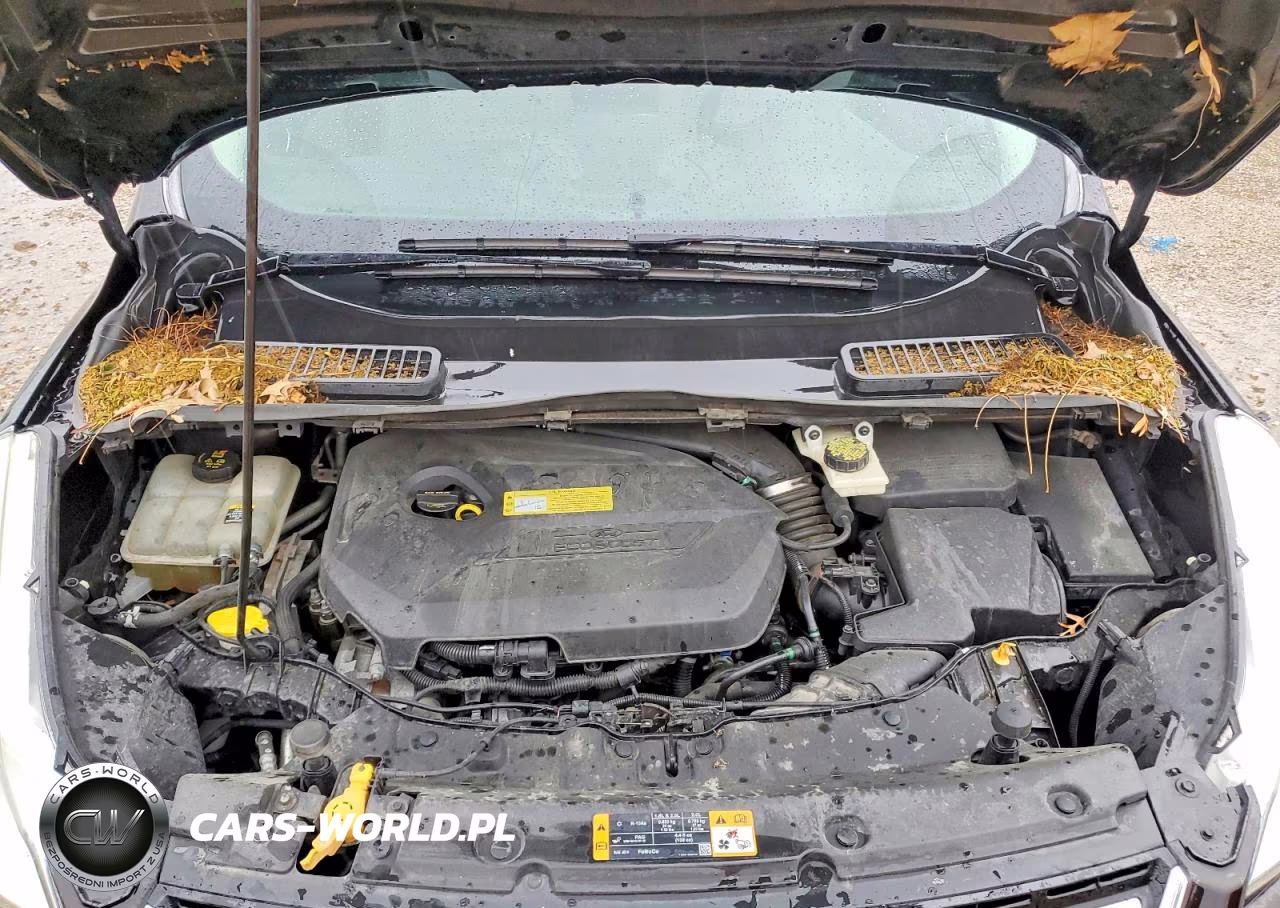 2013 Ford Escape Sel VIN:1FMCU9HX0DUB21547 - 12