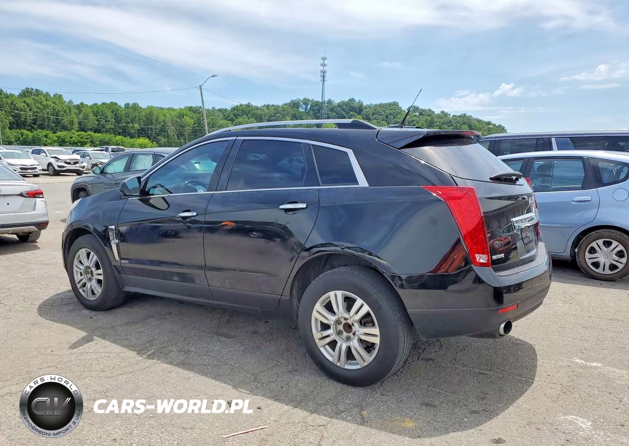 2010 Cadillac Srx Luxury Collection VIN:3GYFNAEY1AS623728 - 2