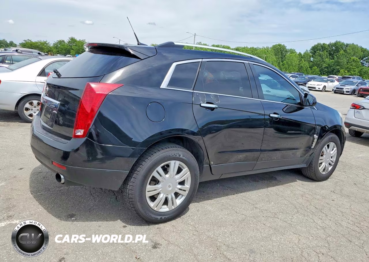 2010 Cadillac Srx Luxury Collection VIN:3GYFNAEY1AS623728 - 3