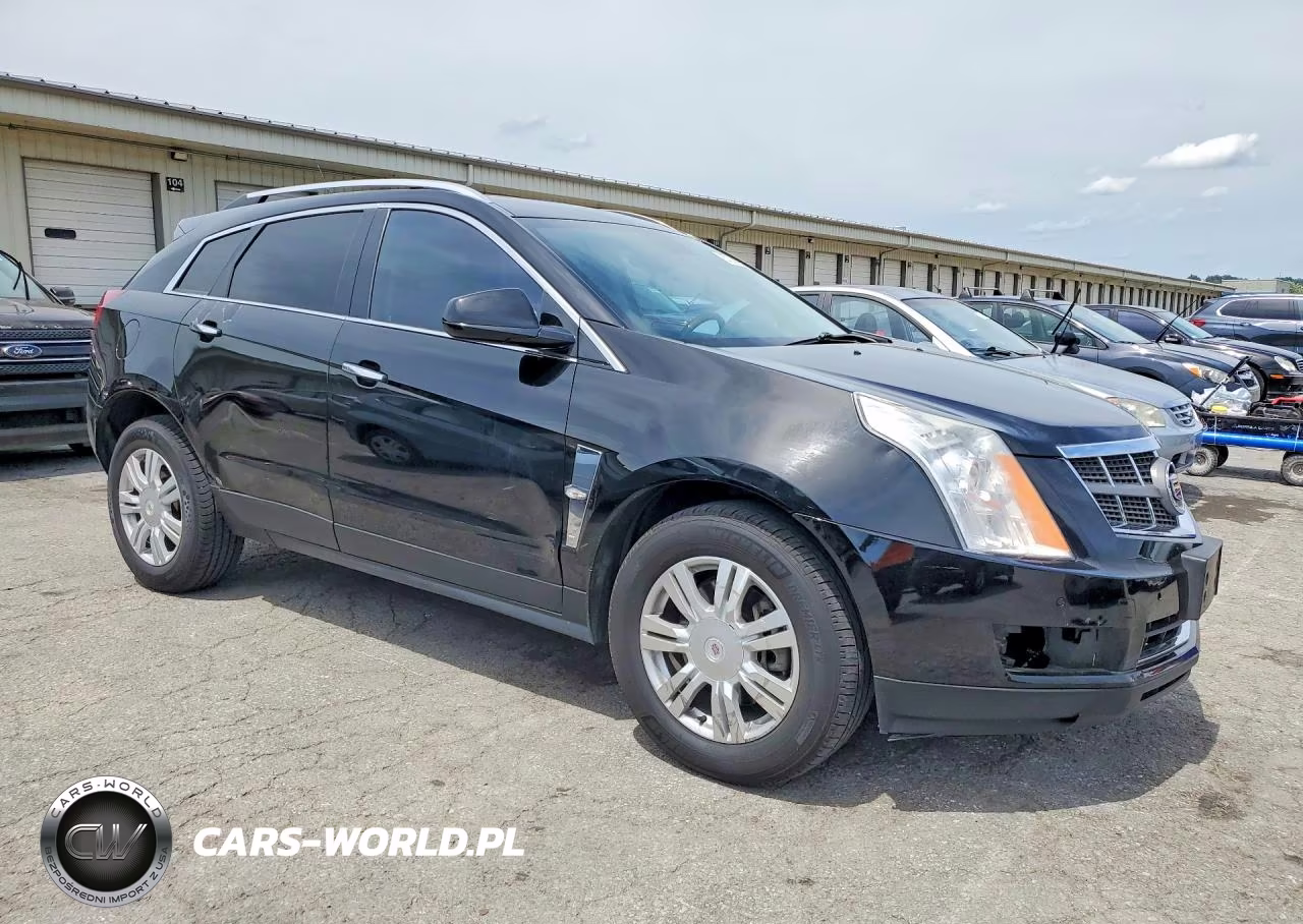 2010 Cadillac Srx Luxury Collection VIN:3GYFNAEY1AS623728 - 4