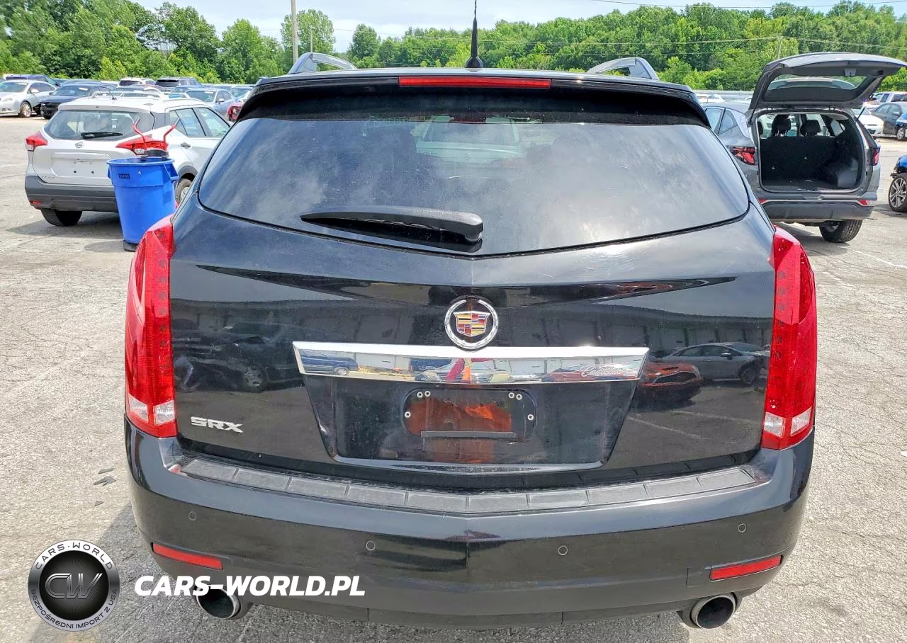 2010 Cadillac Srx Luxury Collection VIN:3GYFNAEY1AS623728 - 6