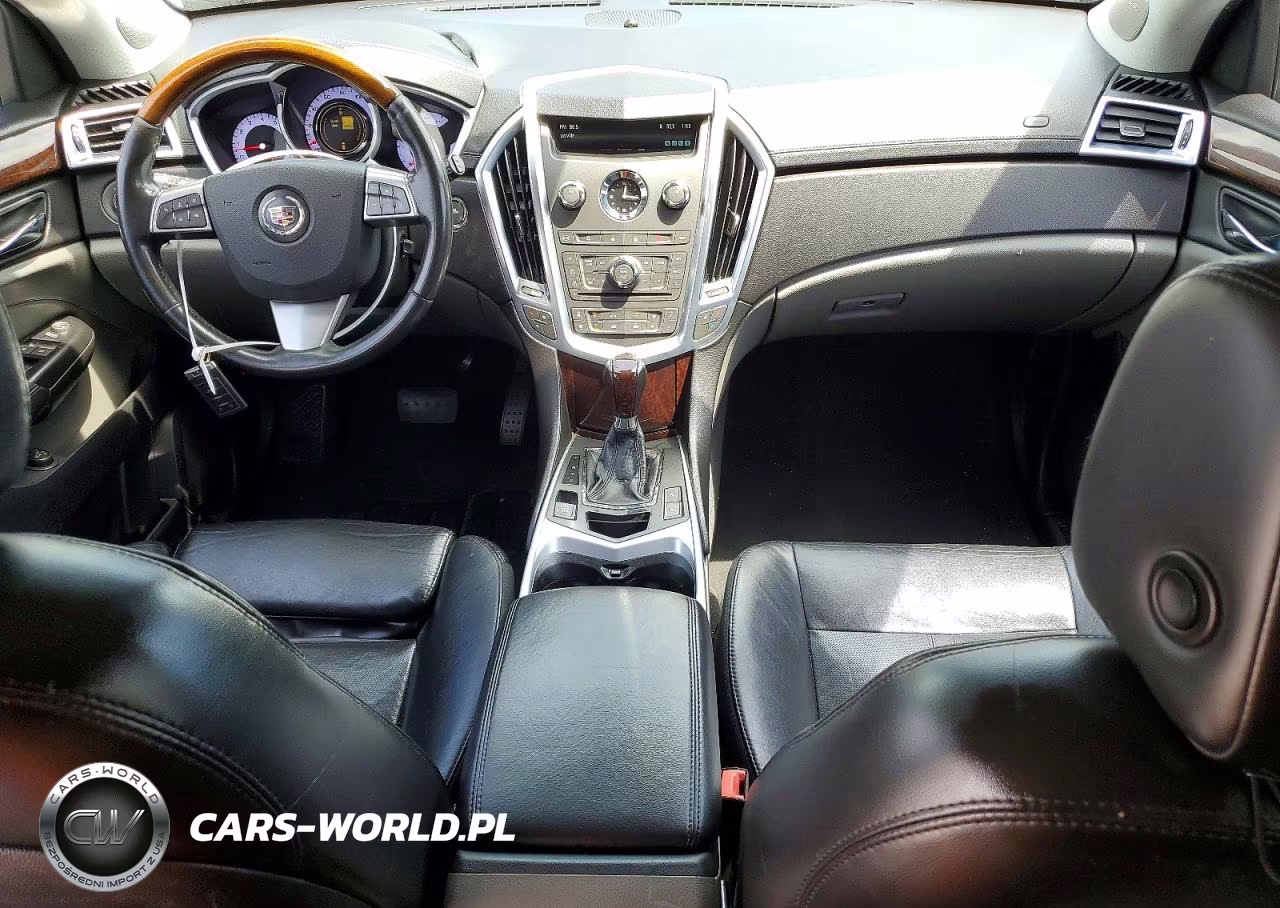 2010 Cadillac Srx Luxury Collection VIN:3GYFNAEY1AS623728 - 8
