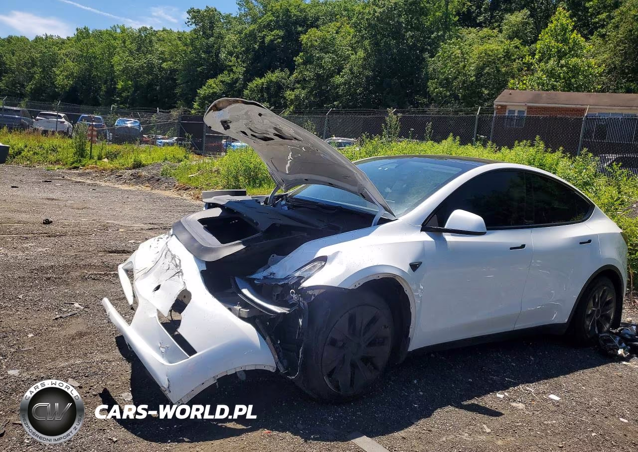 2023 Tesla Model Y – zdjęcie 1 z 12