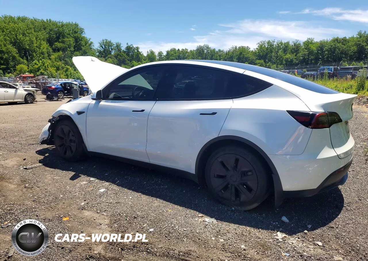 2023 Tesla Model Y VIN:7SAYGAEE4PF910712 - 2