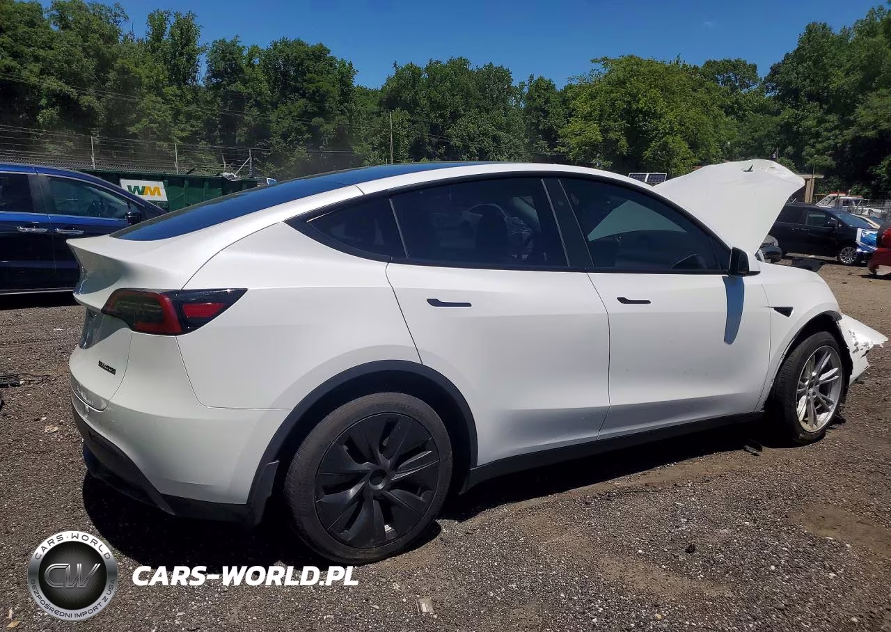 2023 Tesla Model Y VIN:7SAYGAEE4PF910712 - 3