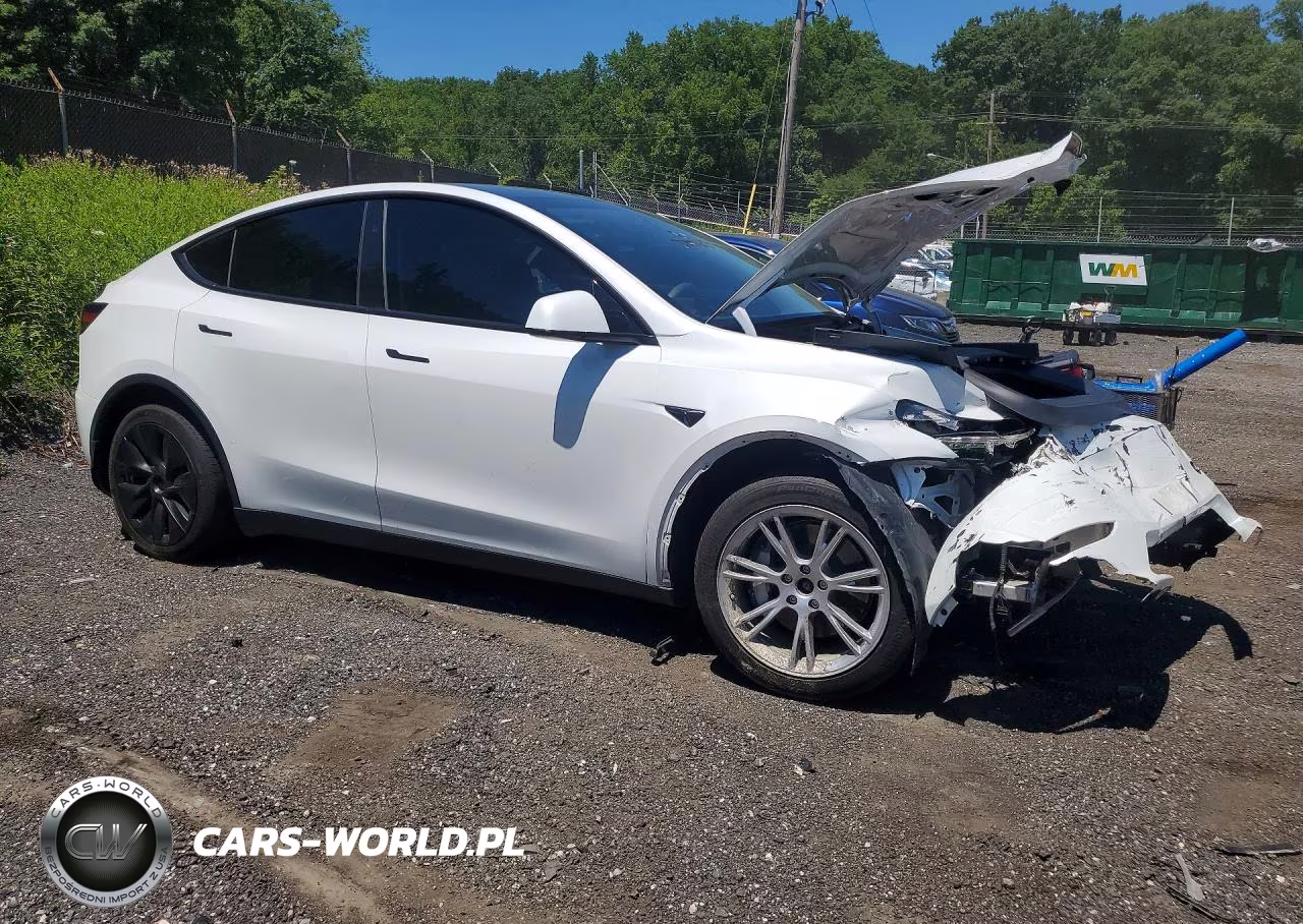 2023 Tesla Model Y VIN:7SAYGAEE4PF910712 - 4