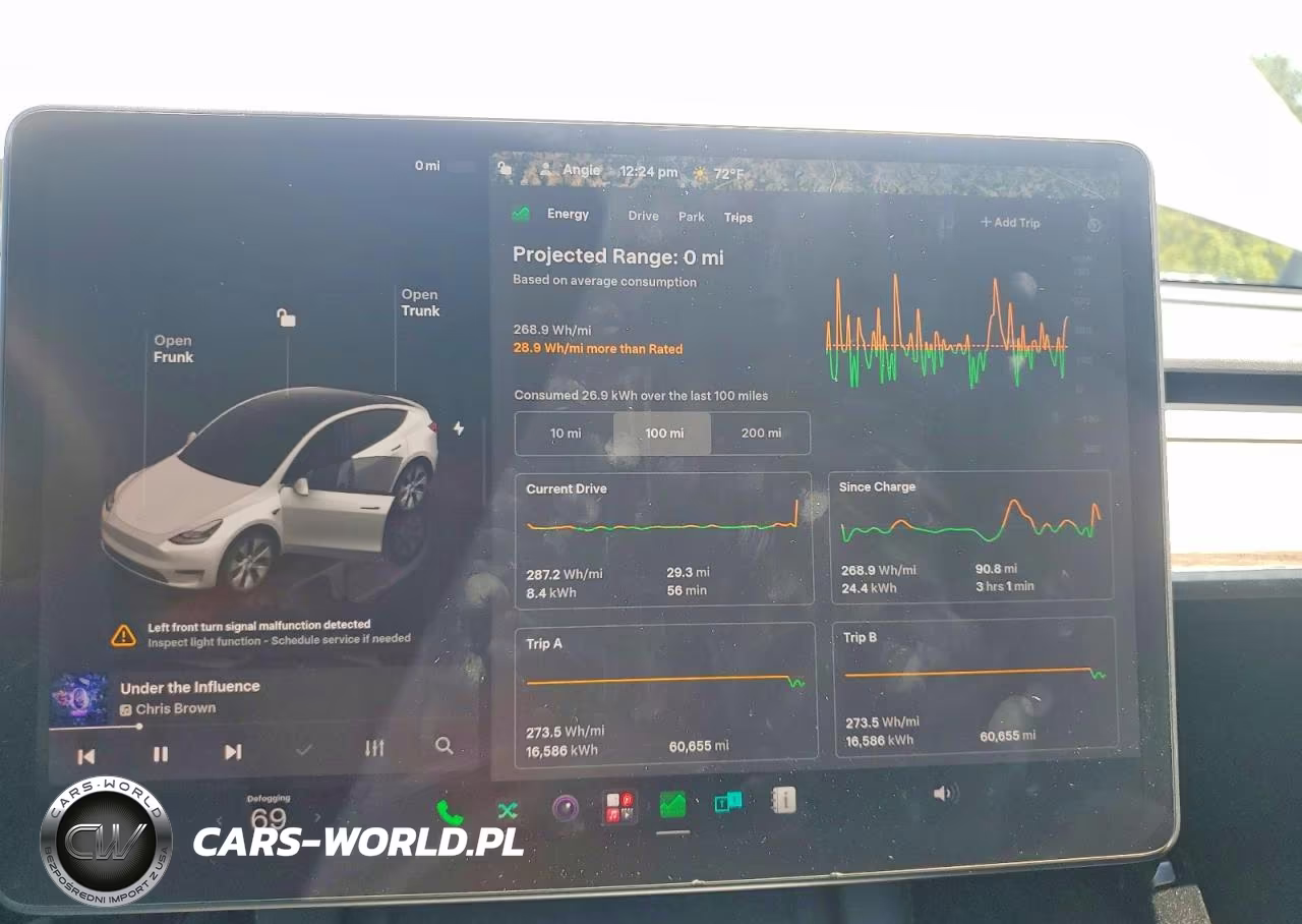 2023 Tesla Model Y VIN:7SAYGAEE4PF910712 - 9