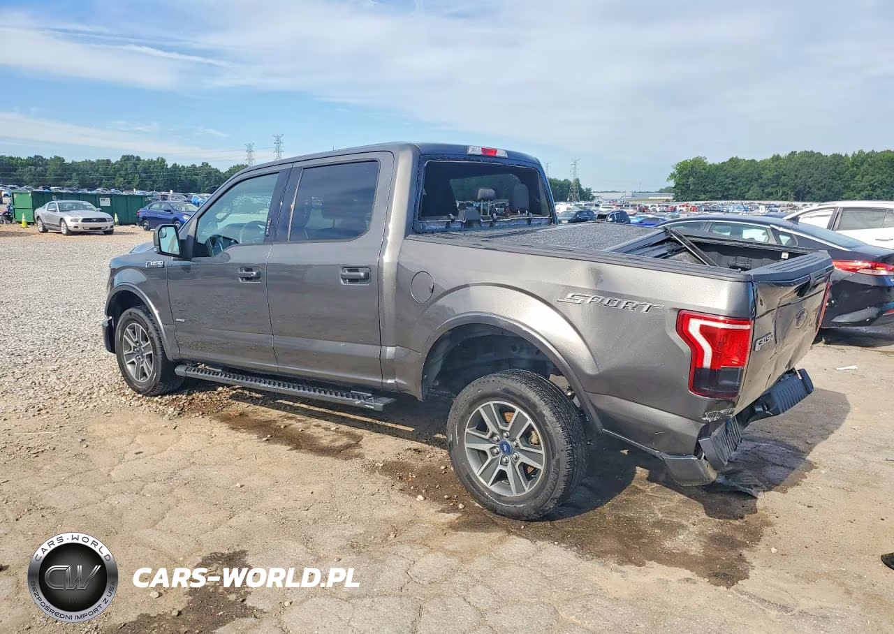 2016 Ford F150 Supercrew VIN:1FTEW1CP8GKF89543 - 2