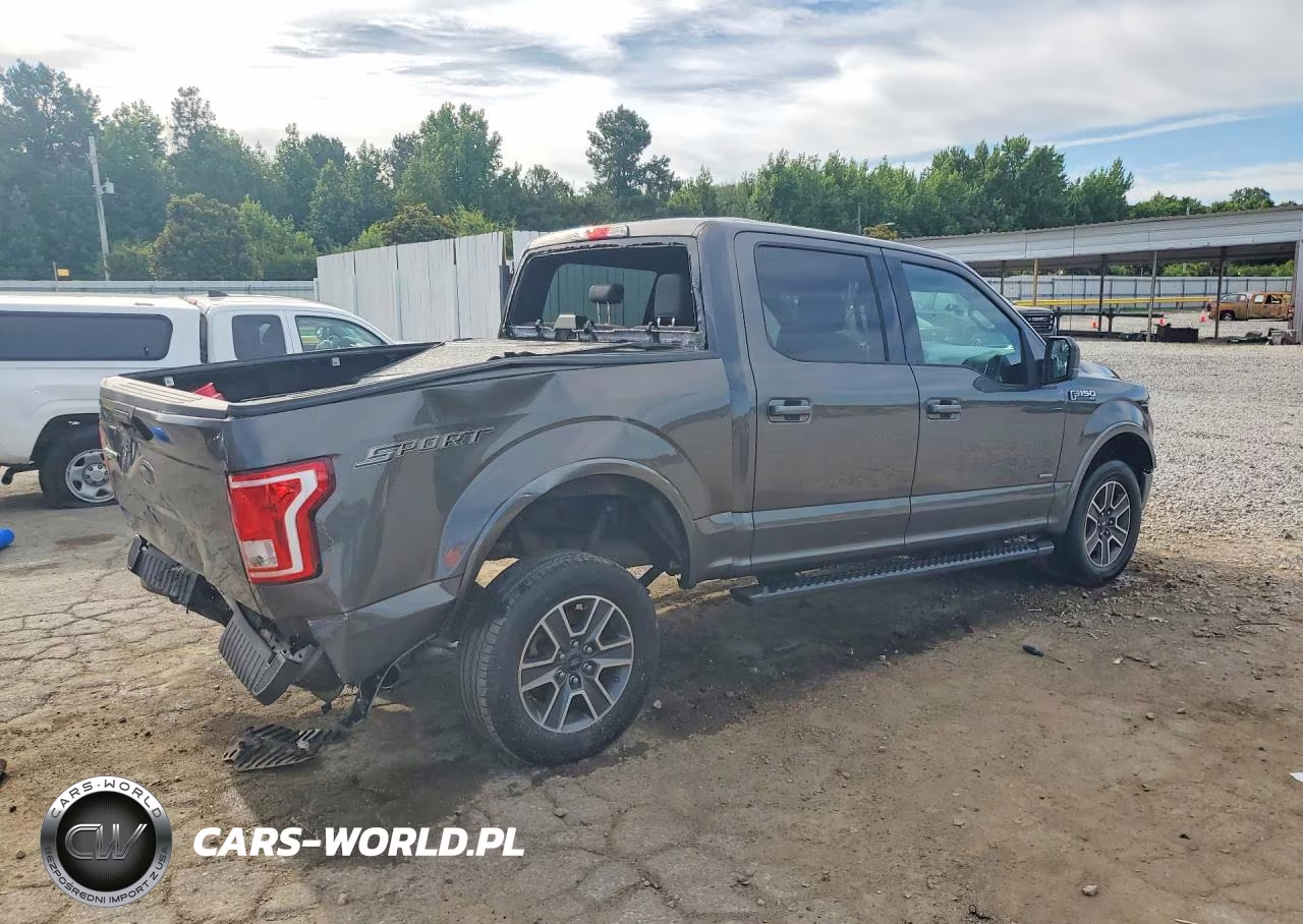 2016 Ford F150 Supercrew VIN:1FTEW1CP8GKF89543 - 3