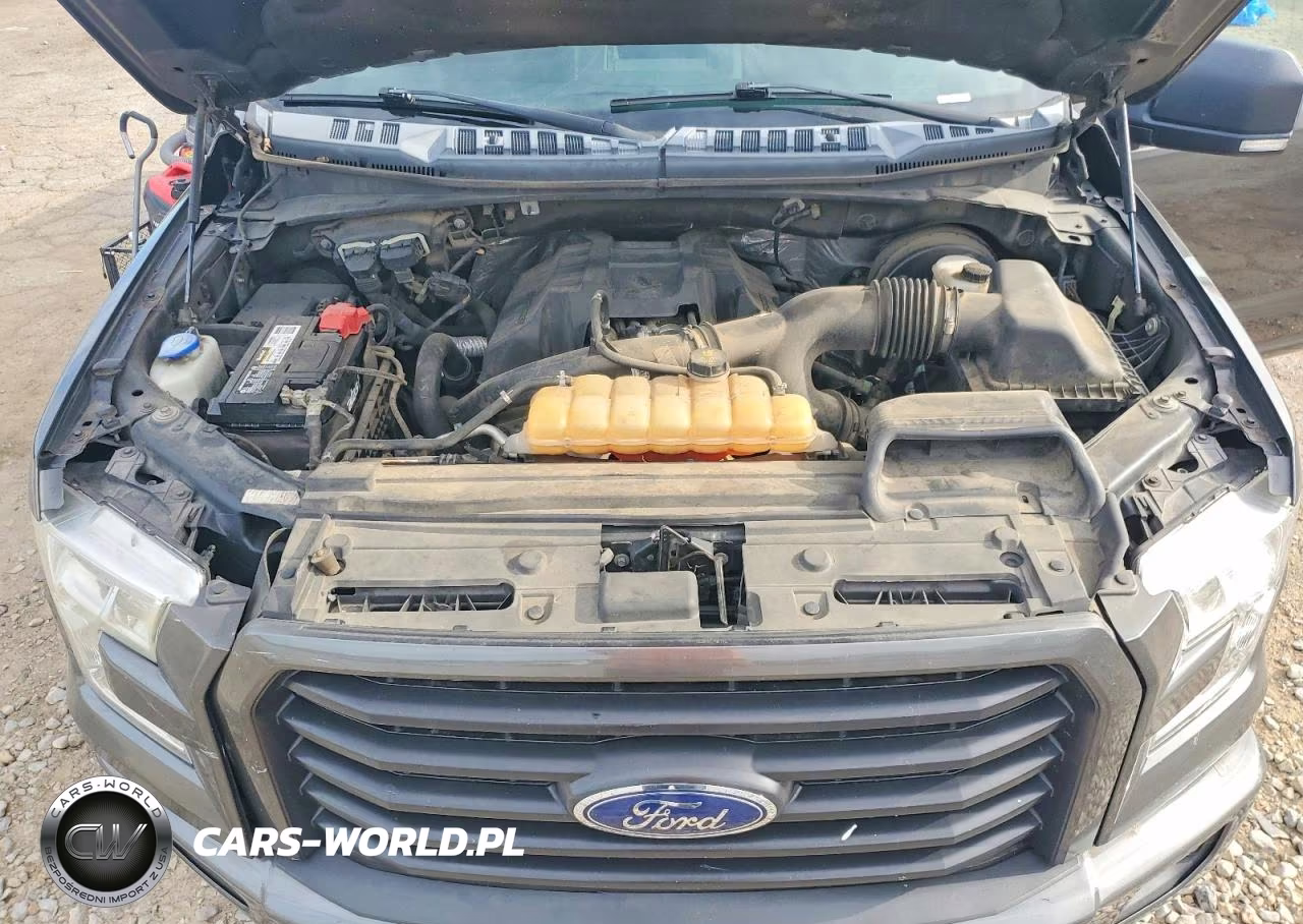 2016 Ford F150 Supercrew VIN:1FTEW1CP8GKF89543 - 8