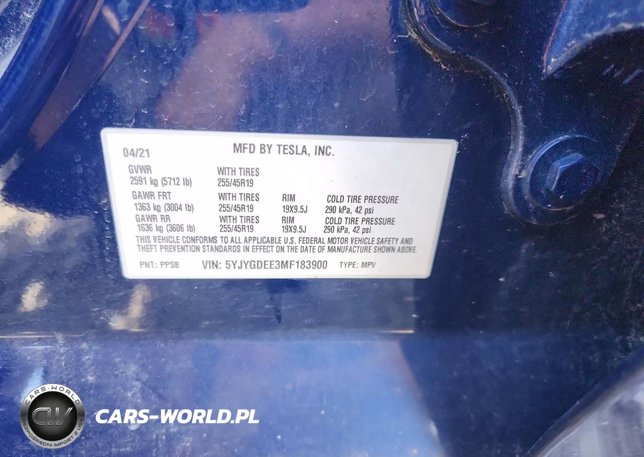 2021 Tesla Model Y VIN:5YJYGDEE3MF183900 - 12