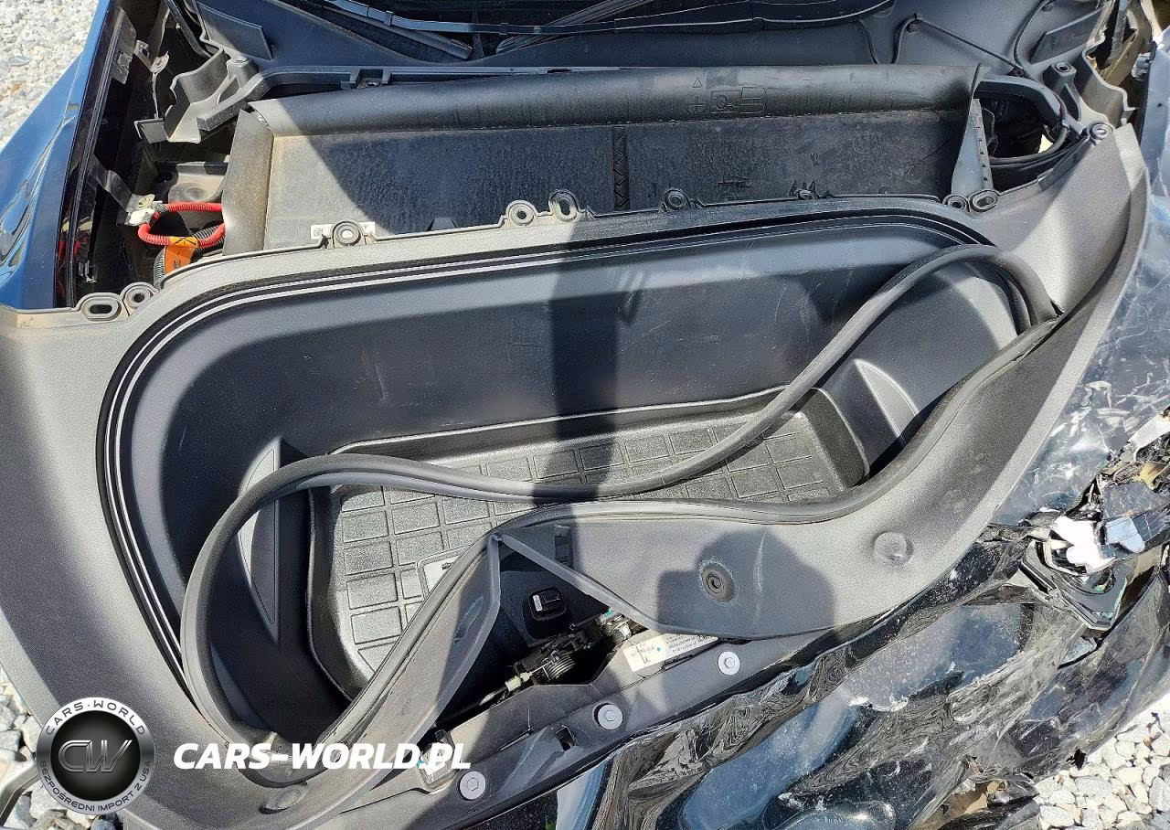 2023 Tesla Model Y VIN:7SAYGDEE5PA138784 - 11