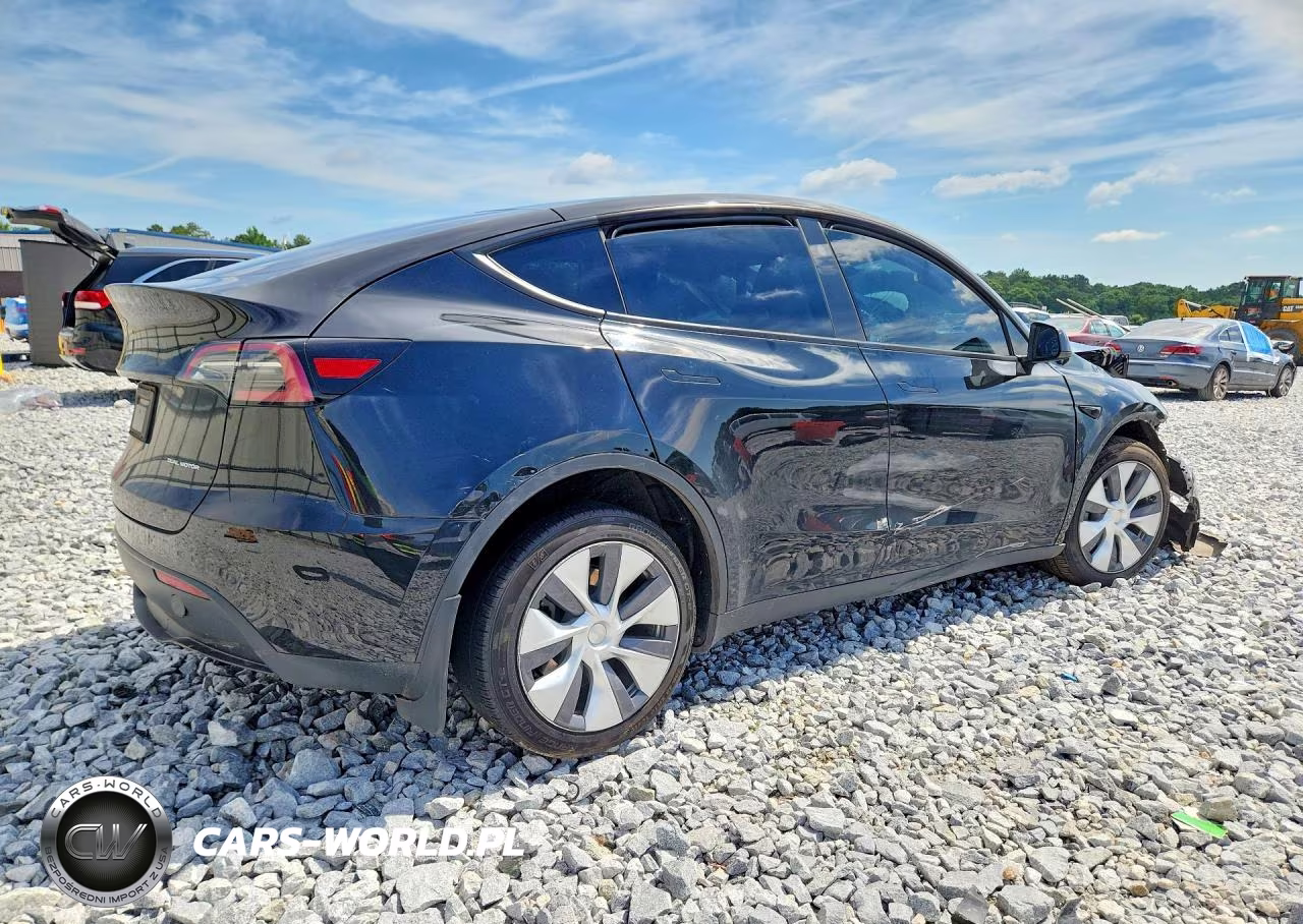 2023 Tesla Model Y VIN:7SAYGDEE5PA138784 - 3
