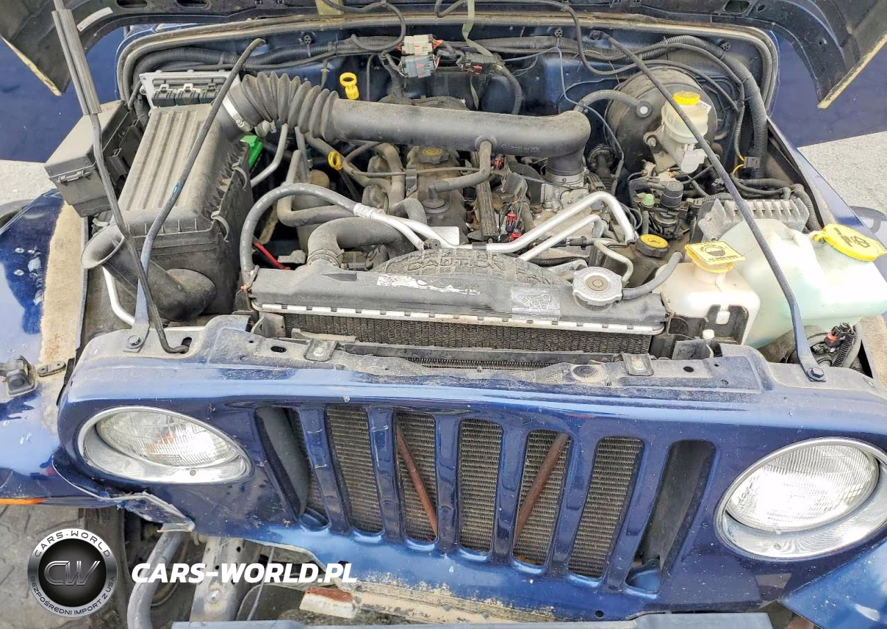 2004 Jeep Wrangler X VIN:1J4FA39S04P799928 - 11