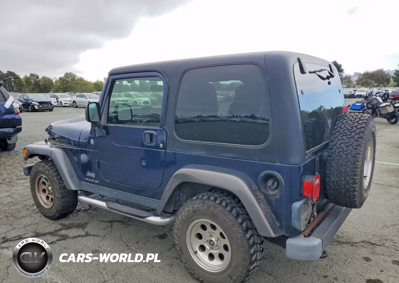 2004 Jeep Wrangler X VIN:1J4FA39S04P799928 - 2