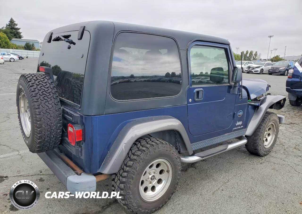 2004 Jeep Wrangler X VIN:1J4FA39S04P799928 - 3