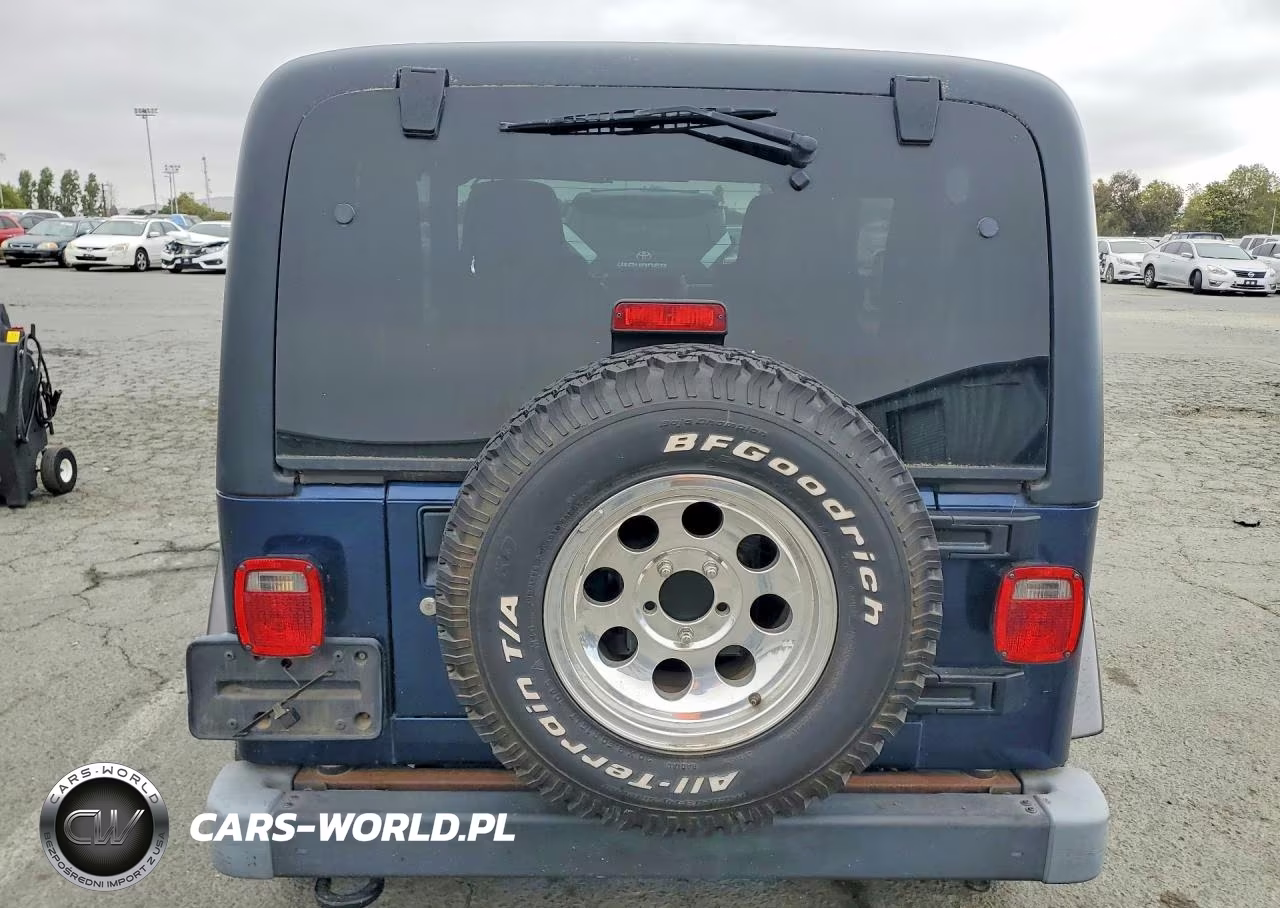 2004 Jeep Wrangler X VIN:1J4FA39S04P799928 - 6