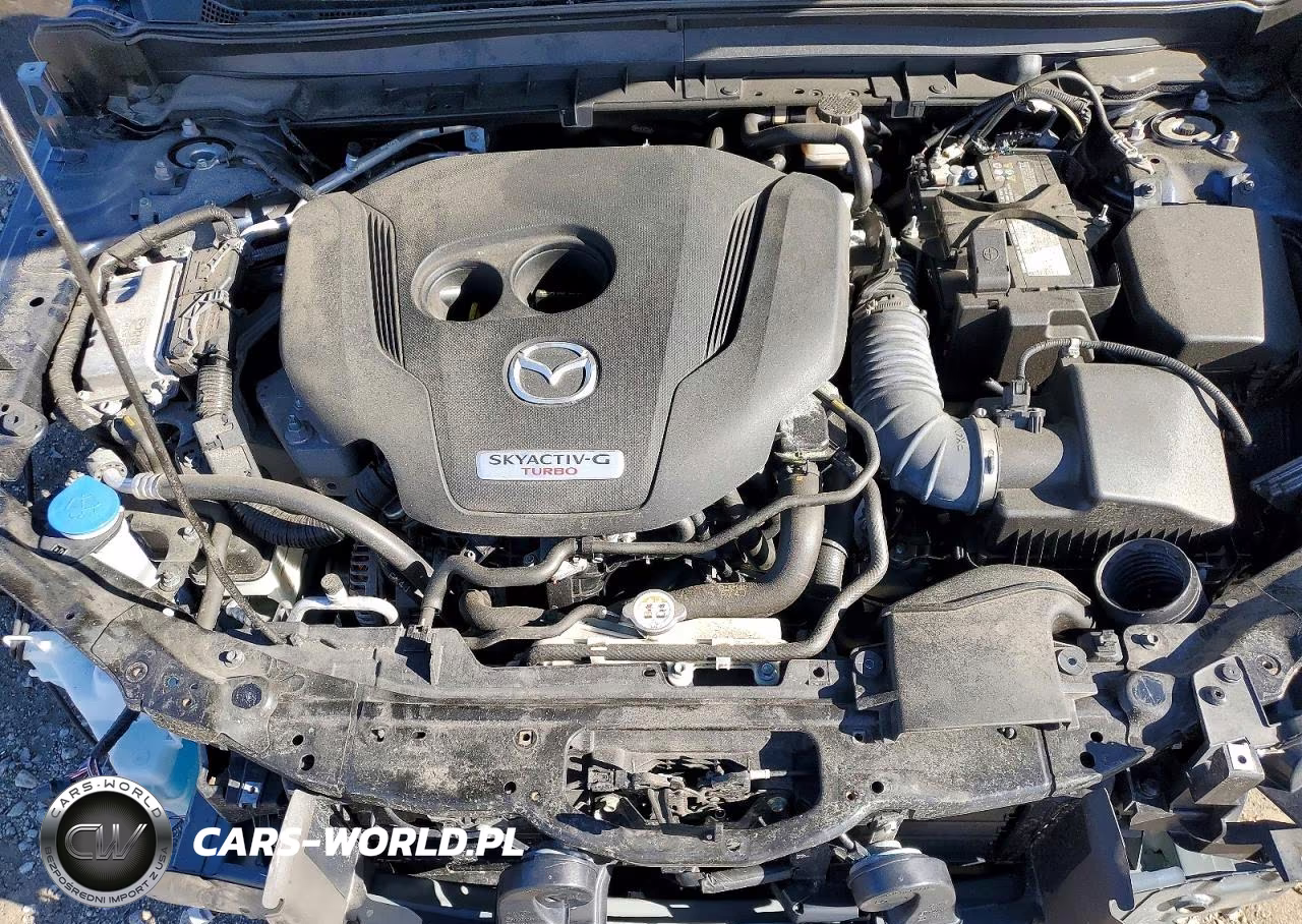 2023 Mazda Cx-30 Premium Plus VIN:3MVDMBEY7PM509718 - 12