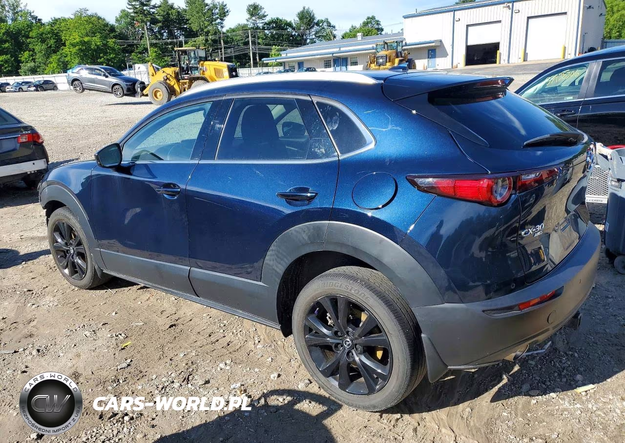 2023 Mazda Cx-30 Premium Plus VIN:3MVDMBEY7PM509718 - 2