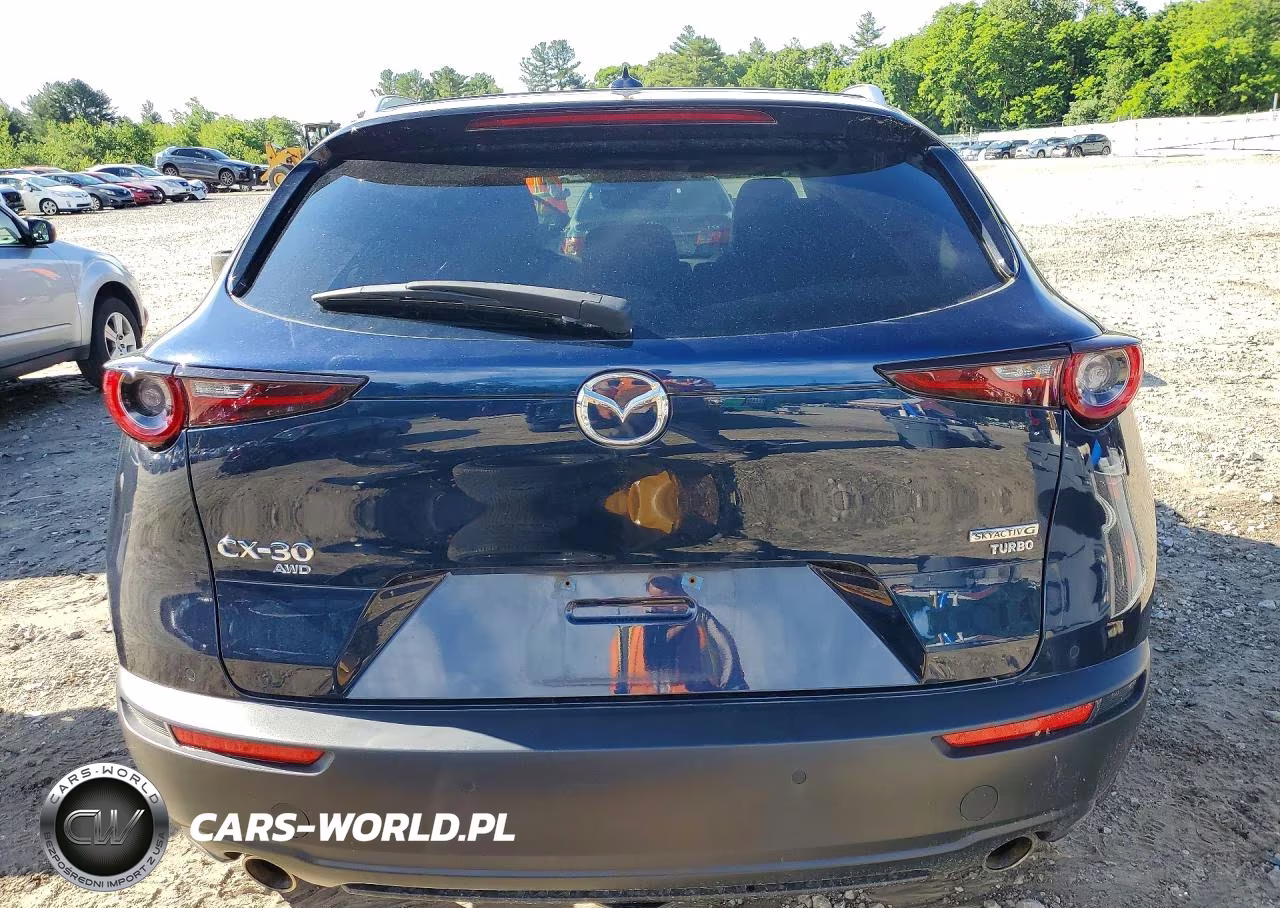 2023 Mazda Cx-30 Premium Plus VIN:3MVDMBEY7PM509718 - 6