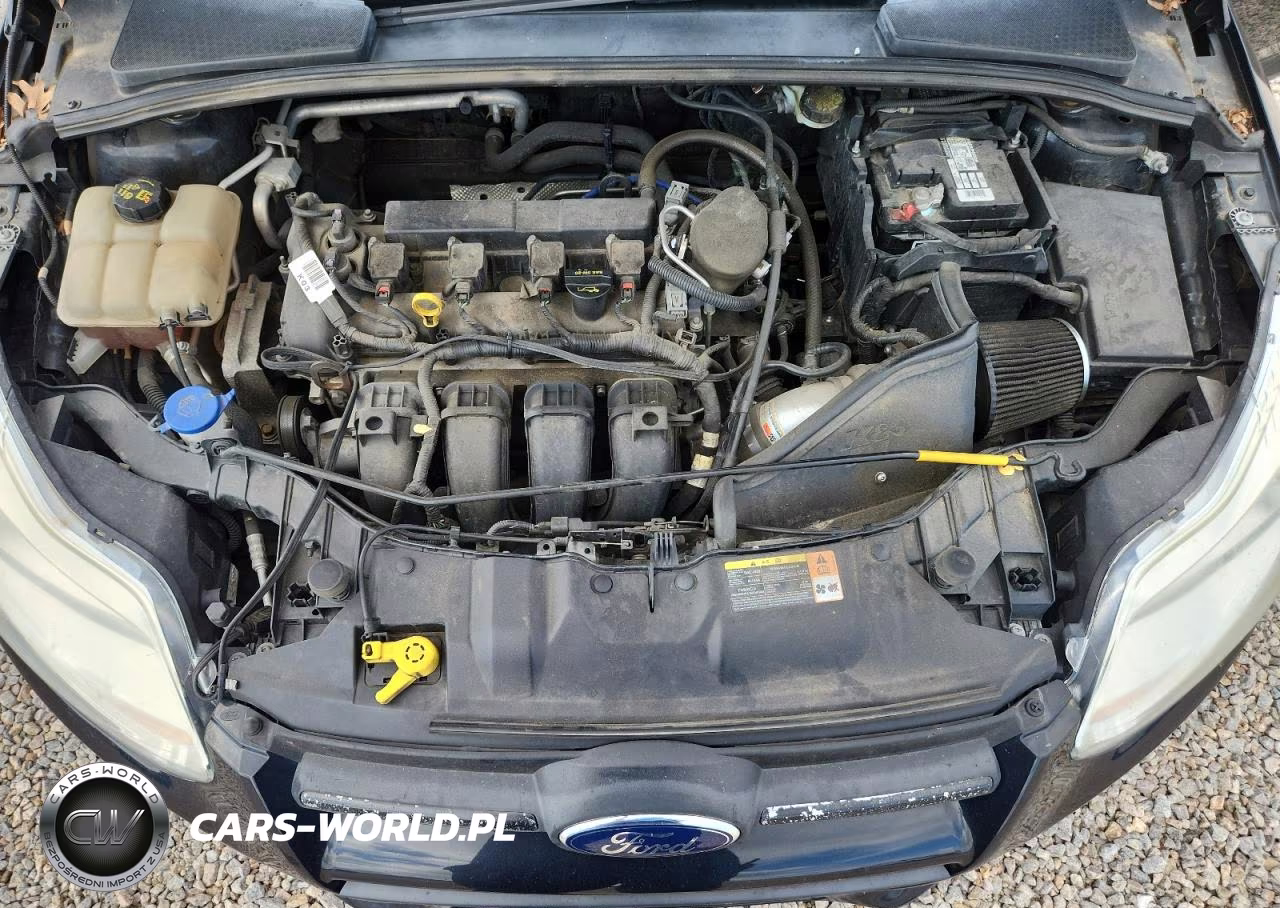 2014 Ford Focus Se VIN:1FADP3K21EL209949 - 11