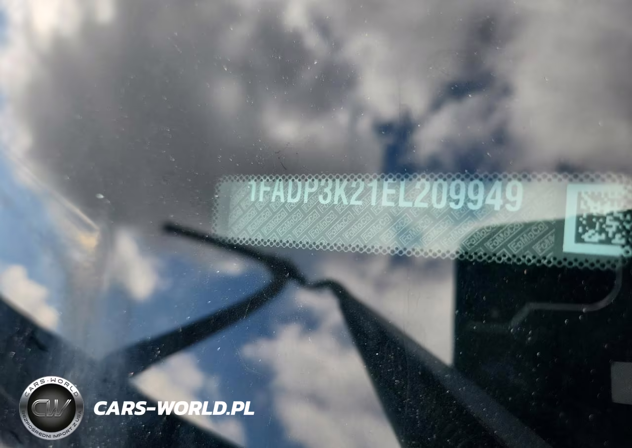 2014 Ford Focus Se VIN:1FADP3K21EL209949 - 12