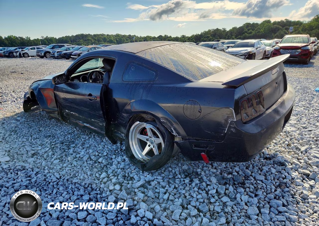 2007 Ford Mustang Gt VIN:1ZVHT82HX75256393 - 2