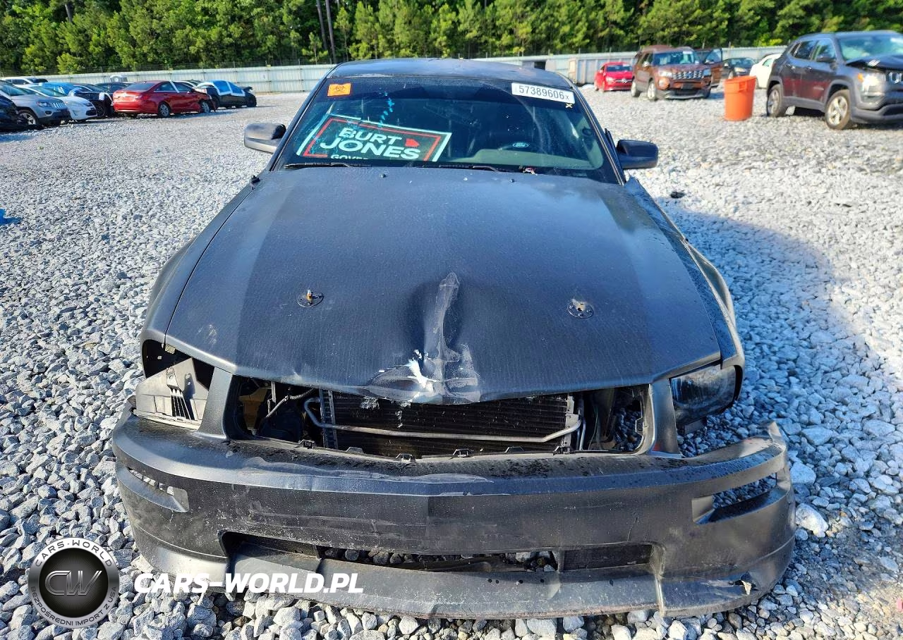 2007 Ford Mustang Gt VIN:1ZVHT82HX75256393 - 5